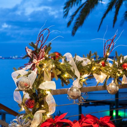 andrea lauren interior designers tampa holiday seasonal christmas 705 web