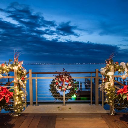 andrea lauren interior designers tampa holiday seasonal christmas 706 web